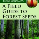 A Field Guide to Forest Seeds