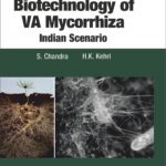 Biotechnology of VA Mycorrhizza: Indian Scenario