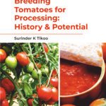 Breeding Tomatoes for Processing: History & Potential