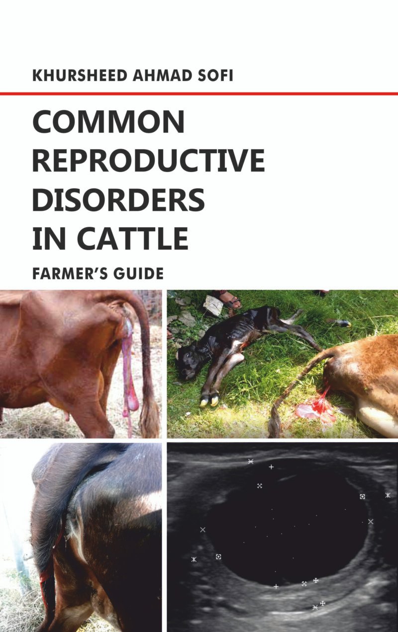 Common Reproductive Disorders in Cattle: Farmerâ€™s Guide