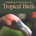 Community Ecology of Tropical Birds