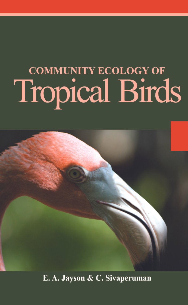 Community Ecology of Tropical Birds