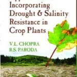 Approaches for Incorporating Drought and Salinity Resistance in Crop Plants