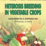 Heterosis Breeding in Vegetable Crops