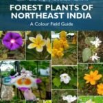 Forest Plants of Northeast India: A Colour Field Guide