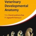 Fundamentals of Veterinary Developmental Anatomy