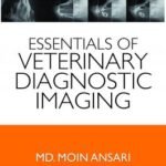 Essentials of Veterinary Diagnostic Imaging