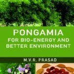 Pongamia for Bio-Energy and Better Environment