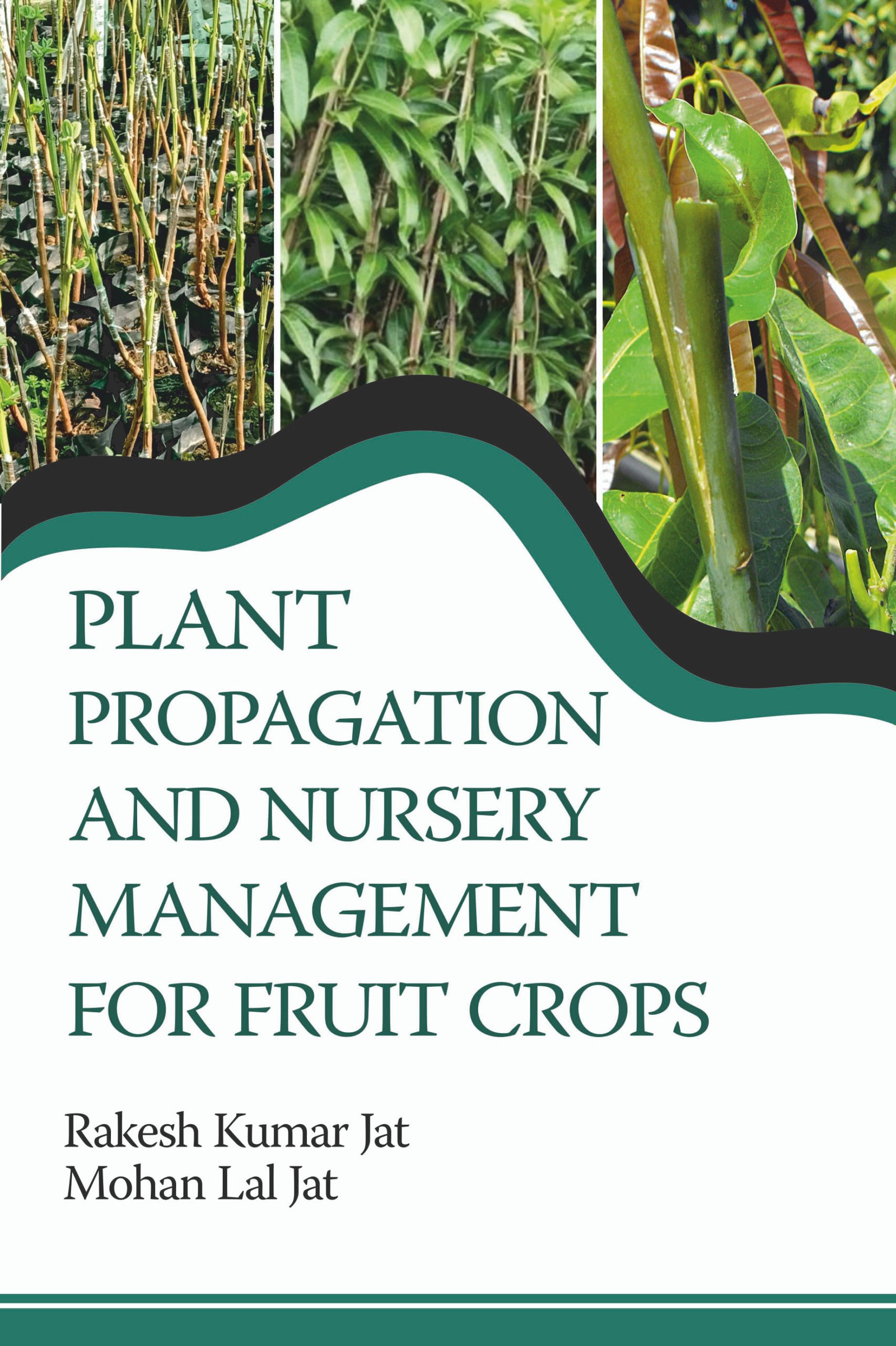 Plant Propagation and Nursery Management For Fruit Crops