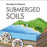 Submerged Soils
