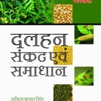 Pulses: Problems and Solutions