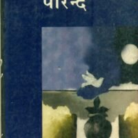 Parinde (परिन्दे)