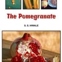 The Pomegranate