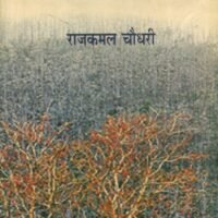 Audit Report (ऑडिट रिपोर्ट )
